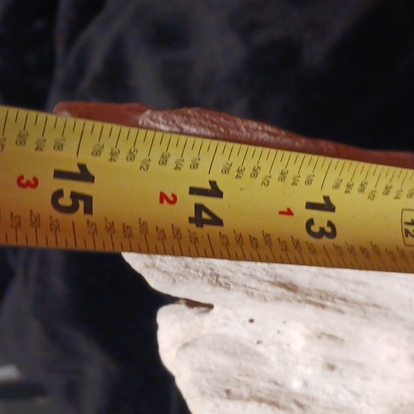 Petrified wood - Picture 2 of 16